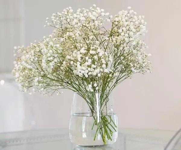 Elite Podwale Deluxe Gdańsk