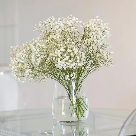 Elite Podwale Deluxe Gdańsk